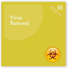 Fixed Price Virus Removal